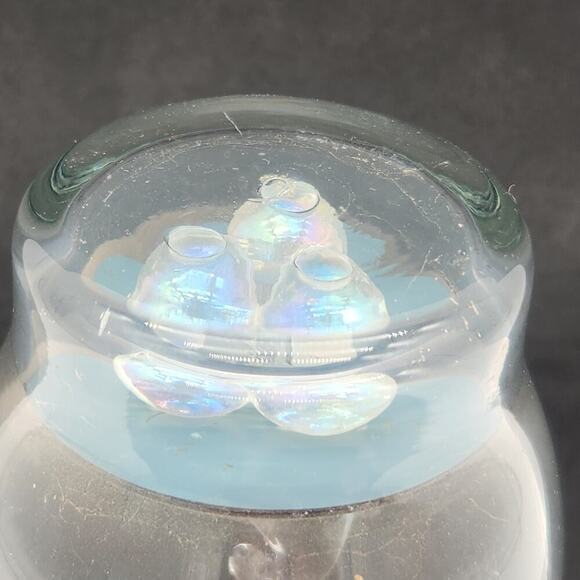 Unique Clear Glass Vase With Multi-Colored Glass Fish Suspended Inside Art Gift - Picture 12 of 13